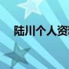 陆川个人资料简介妻子（陆川个人资料）