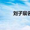 刘子宸名字（刘子辰的名字打分）