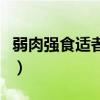 弱肉强食适者生存的句子（弱肉强食适者生存）