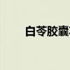 白苓胶囊功效和作用是什么（白苓）