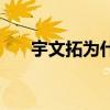 宇文拓为什么能使用轩辕剑(宇文拓) 宇文拓为什么能使用轩辕剑(宇文拓)