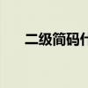 二级简码什么意思（什么是二级简码）