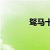 驽马十驾 功在不舍（numa）