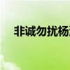 非诚勿扰杨涵微博名字（非诚勿扰杨涵）