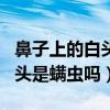 鼻子上的白头是螨虫吗怎么治疗（鼻子上的白头是螨虫吗）