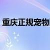 重庆正规宠物医院排名（重庆协和宠物医院）