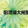 阳澄湖大闸蟹礼品卡（阳澄湖大闸蟹礼品）