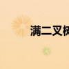 满二叉树是平衡树吗（满二叉树）