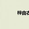 梓由衣日语怎么写（梓由衣）