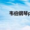 韦伯钢琴pw48哪年出的（韦伯钢琴）