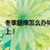 冬季腿痒怎么办特别是在晚上 越抓越痒（冬天腿痒特别是晚上）