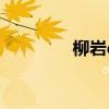 柳岩qq是多少?（柳岩qq）