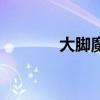 大脚魔盒怎么用（大脚盒子）