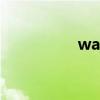 wafer怎么读（wafer）
