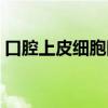 口腔上皮细胞图片高清(口腔上皮细胞图片) 口腔上皮细胞图片高清(口腔上皮细胞图片)