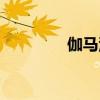 伽马源丢失事件（伽马源）