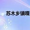苏木乡镇嘎查村是什么意思(苏木乡镇) 苏木乡镇嘎查村是什么意思(苏木乡镇)