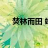 焚林而田 竭泽而渔的意思（焚林而田）