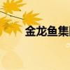 金龙鱼集团是国企吗（金龙鱼集团）