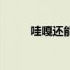 哇嘎还能使用吗（哇嘎还能用吗）