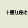 十里红莲艳酒小说结局（十里红莲艳酒）