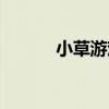 小草游戏接单平台（小草辅助）
