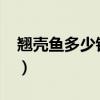 翘壳鱼多少钱一斤2020（翘壳鱼多少钱一斤）