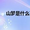 山梦是什么花仙精灵王（山梦是什么花）