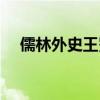 儒林外史王冕情节概括（儒林外史王冕）