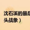 沈石溪的最后一头战象简介（沈石溪的最后一头战象）