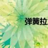 弹簧拉力测试仪器（弹簧拉力）