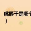 嘴唇干是哪个脏器上火（嘴唇干怎么办小妙招）