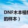 DNF木本植物的样本怎么获得（dnf木本植物的样本）