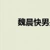魏晨快男是哪一年（快乐男生魏晨）