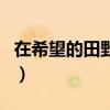 在希望的田野简谱歌谱（在希望的田野上歌词）