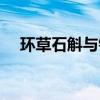 环草石斛与铁皮石斛的区别（环草石斛）