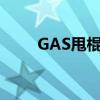 GAS甩棍哪个厂家做的（gas甩棍）