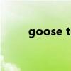 goose tech羽绒服（谷歌羽绒服）