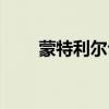 蒙特利尔公约全称(蒙特利尔公约) 蒙特利尔公约全称(蒙特利尔公约)