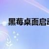 黑莓桌面启动器（黑莓9700桌面管理器）