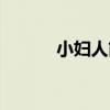 小妇人简介中文（小妇人简介）