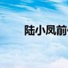 陆小凤前传剧情介绍（陆小凤前传）