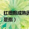 红细胞成熟因子的生理作用（红细胞成熟因子是指）