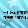 一片冰心在玉壶运用了什么修辞手法有什么作用（一片冰心在玉壶运用了什么修辞手法）