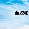 蓝胶和黑胶唱片的区别（蓝胶）