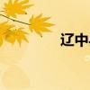 辽中县属于哪个市（辽中）