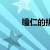 瞳仁的拼音和组词（瞳仁的拼音）