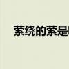萦绕的萦是哪个萦(萦绕和萦回的区别) 萦绕的萦是哪个萦(萦绕和萦回的区别)
