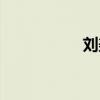 刘美施是谁（刘美施）