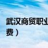 武汉商贸职业学院如何（武汉商贸职业学院收费）